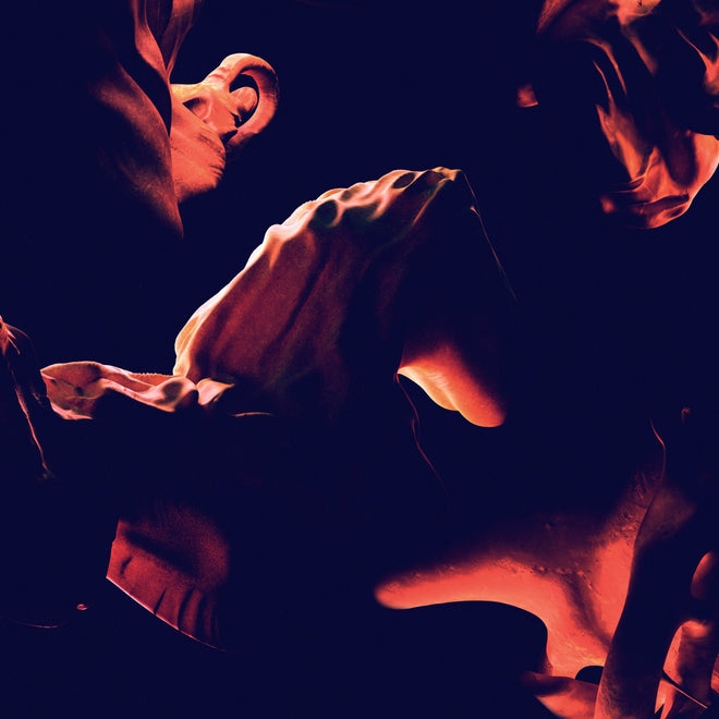 Design + Sculpting by Jengo